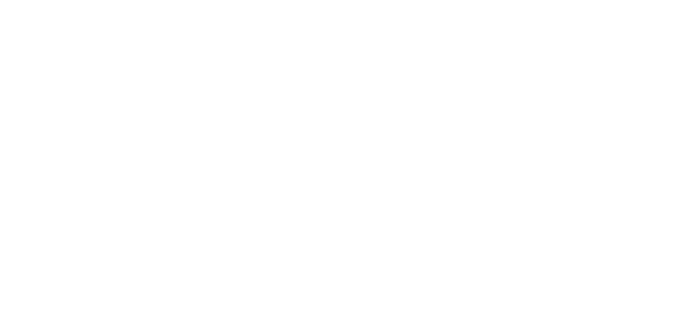 Dublin Transport